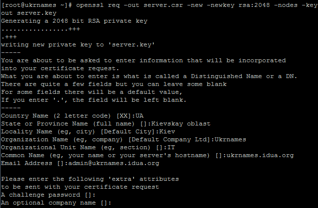 Терминал с выводом команды openssl s_client для проверки SSL-сертификата