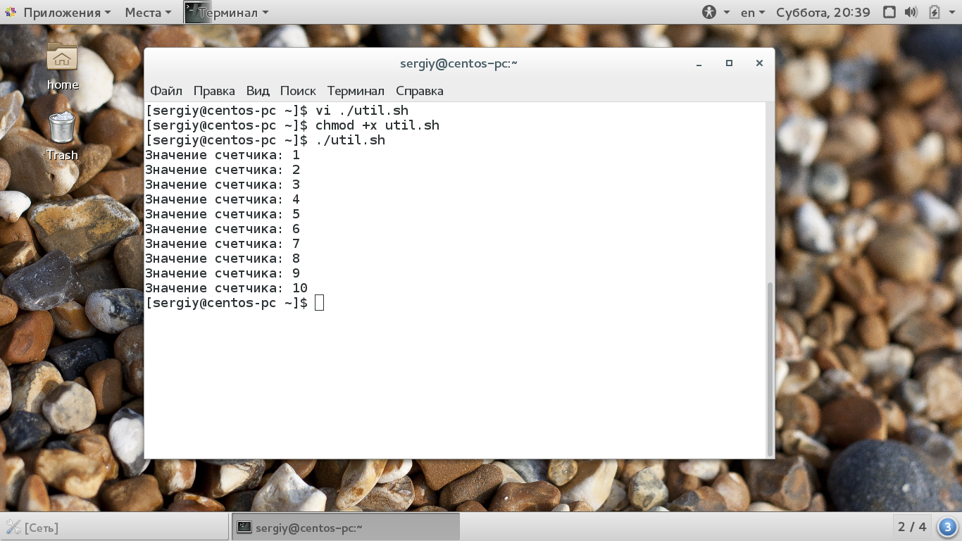 Examples of for and while loops in a Bash script with code
