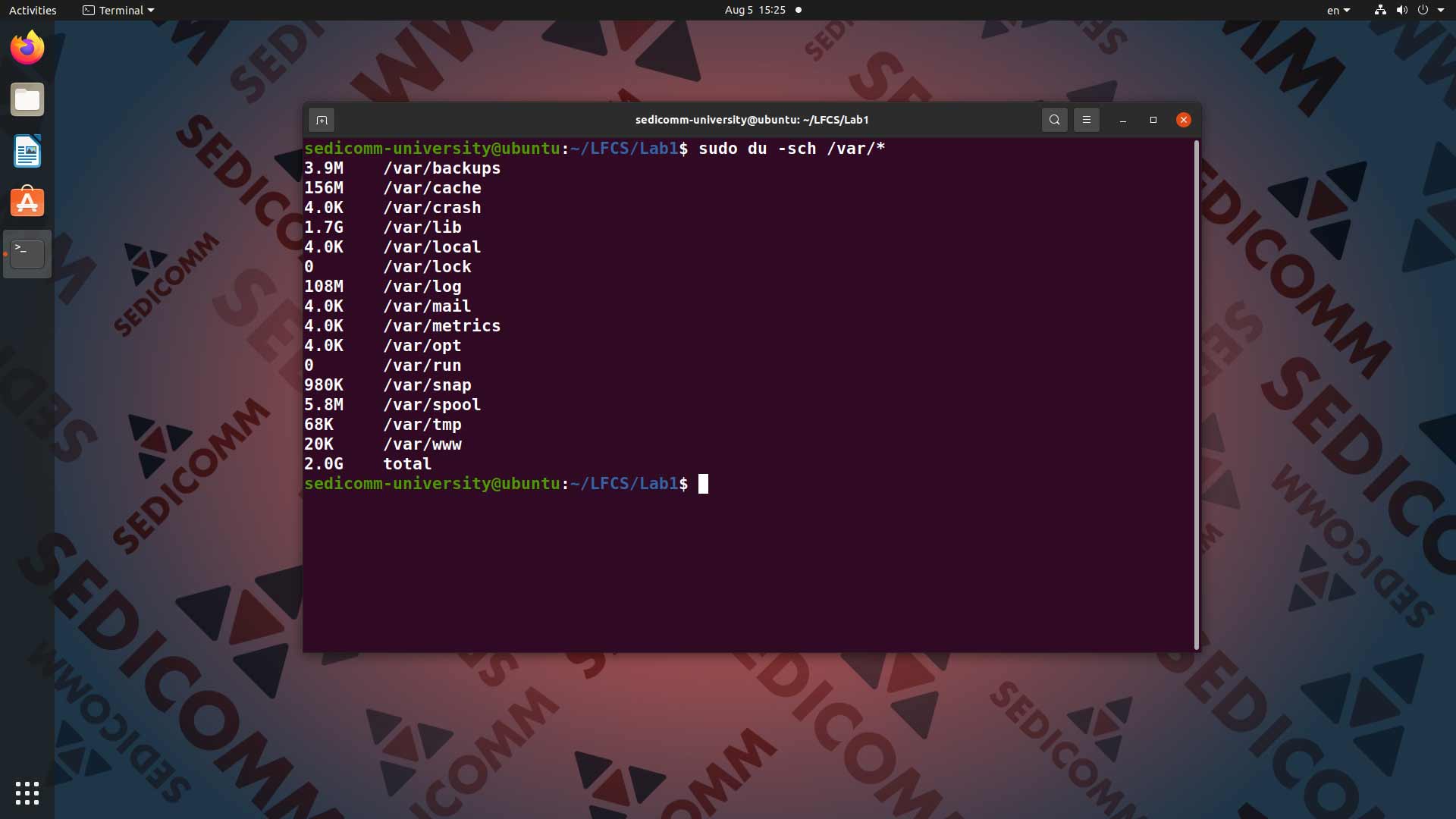 Вывод команды du -sh /* с сортировкой по размеру в терминале Linux