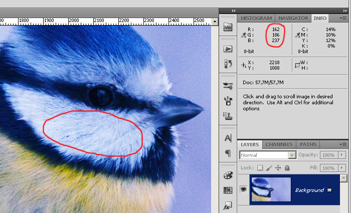 White balance screen with colored bars and RGB sliders in the color calibration wizard.